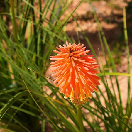 Novo! Estudio Em * Portimao